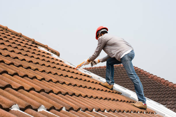 Best Emergency Roof Repair Services  in Seattle, WA